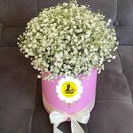 گل فروشی اینترنتی آمازون (سعادت آباد)