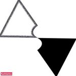 گروه طراحان سیاه سفید