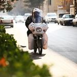 نگهبان هوشمند ثمین