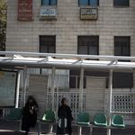 دکتر یاسمن حیدری دندانپزشک