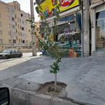 سوپر مارکت سراوین (بنفشه)