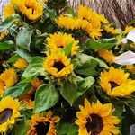 گل فروشی اینترنتی آمازون (گیشا)