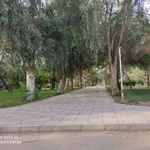 پارک مرکزی