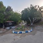 رستوران زرون