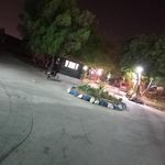 رستوران زرون