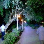 پارک مرکزی