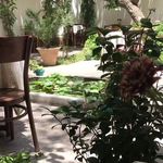 کافه تهرون کندوان