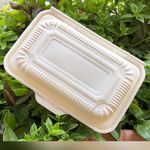 بازرگانی و پخش ظروف یکبارمصرف اردبیلی