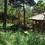 باشگاه پینت بال مجموعه کوهستان