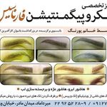 مرکز زیبایی فارناسیس