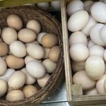 لبنیات سنتی دهنوی