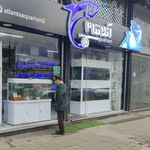 آکواریوم دلفین 