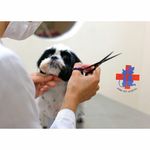 بیمارستان دامپزشکی اوینا