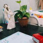 مطب مامایی  ژین