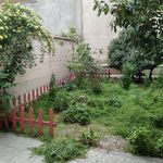 رامین یحیایی فر