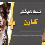 کلینیک تخصصی دامپزشکی کارن