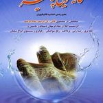 قالیشویی پالیز