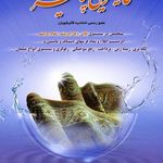 قالیشویی پالیز