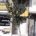 پیمانکاری و مصالح ساختمانی علی سیاهبندی