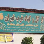 بازار گل و گیاه غرب تهران