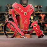 قلاده سگ نوبل پاور