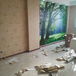 کاغذ دیواری و نقاشی ساختمان مرتضی