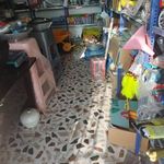 ابزار فروشی علی