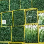 سبزی ریحان ارسال باتخفیف ویژه