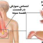 دکتر مینا محبی
