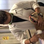 مرکز تخصصی " فیزیوتراپی" حیوانات خانگی فیزیوپت