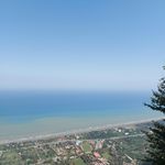 کلبه های جنگلی هتل بام سبز رامسر (هتل بام رامسر)