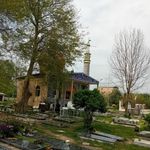 امامزاده یحیی ادملا