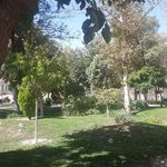 بوستان گلریز