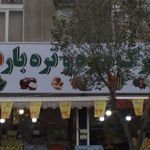 میوه و تره بار دولتی