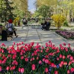 سروس بهداشتی بوستان شریعتی شماره 2