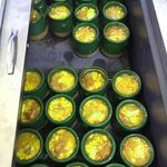 تهیه غذا کوه سنگی 