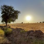 کافه-باغ-دهکده