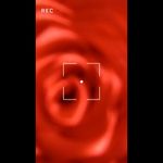 لوازم آرایشی کژال