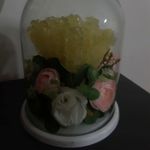 لوازم آرایشی کژال