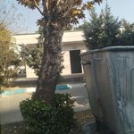 سرویس بهداشتی