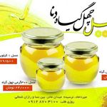 عسل چهل گیاه دنا 