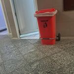 سرویس بهداشتی
