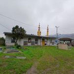 امام زاده شاهزاده رضا