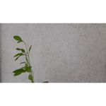 چاپخانه ریحانه مرودشت