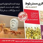 گالری مستر بلوط