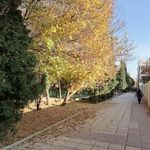 بوستان نمازی