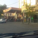 موادغذایی سید