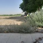 مغازه