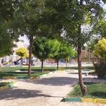 پارک معلم