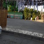 شهدای شهرک محلاتی